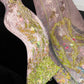 Chic Spaghetti Strap Embroidery Tulle Sequins Hugging Rinestone Long Party Dress Prom Gown Evening Dress D7489