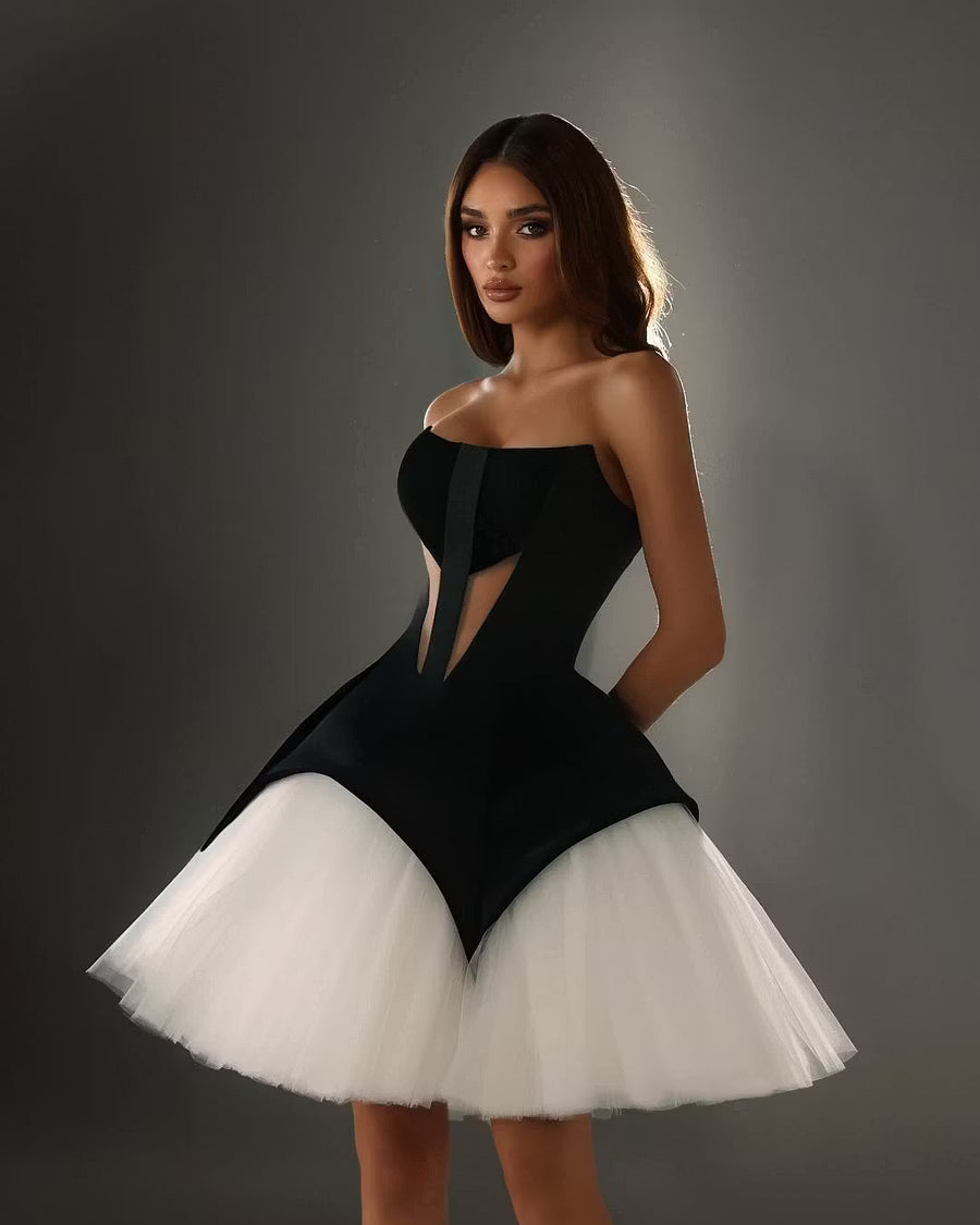 Chic Homecoming Dress Strapless Tulle Back to School Outfits Party Dress Birthday Dress D7411