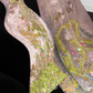 Gorgeous Sparkling Pink Beaded Applique Mermaid Design Exquisite Embroidery Evening Dress Prom Dresses D1639