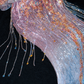 Fashion Sparkling Beaded Sequin Mermaid Elegant Chiffon Evening Dress Prom Dresses D1632