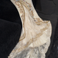 Sparkling Beige Beaded Sequined Design Elegant Mermaid Prom Dress Evening Dress D1695