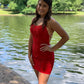 Charming Homecoming Dress Halter Applique Lace Hugging Backless Back to School Outfits Party Dress D7465