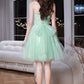 Pretty Homecoming Dress Spaghetti Straps Tulle Lace Bowknot Short Prom Dress Back to School Outfits Party Dress  D6096